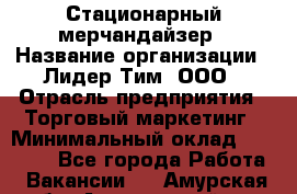 Стационарный мерчандайзер › Название организации ­ Лидер Тим, ООО › Отрасль предприятия ­ Торговый маркетинг › Минимальный оклад ­ 23 000 - Все города Работа » Вакансии   . Амурская обл.,Архаринский р-н